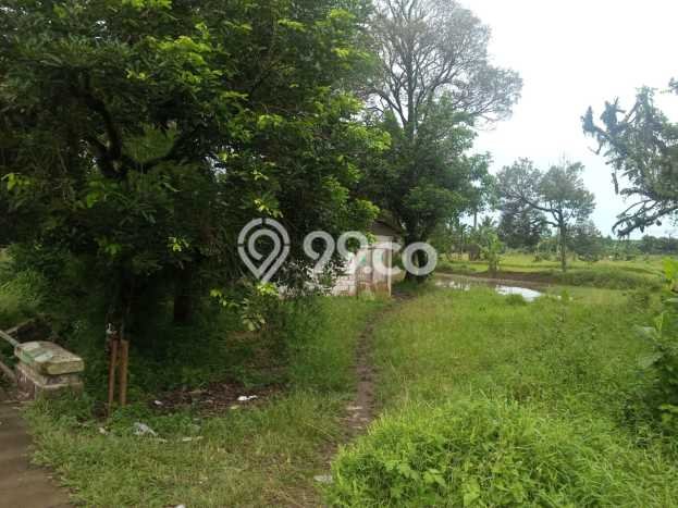 Tanah Kawasan Rumpin, Luas 4200m2m², Lokasi Premium Tanah Kawasan Rumpin, Luas 4200m2m², Lokasi Premium