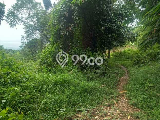 HARGA TERBAIK! Tanah Kawasan Rumpin, Luas 4000m2m², Lokasi Strategis HARGA TERBAIK! Tanah Kawasan Rumpin, Luas 4000m2m², Lokasi Strategis