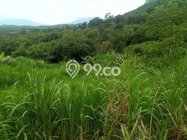 Tanah di Rumpin, Luas 80000m2m², Area Berkembang Tanah di Rumpin, Luas 80000m2m², Area Berkembang