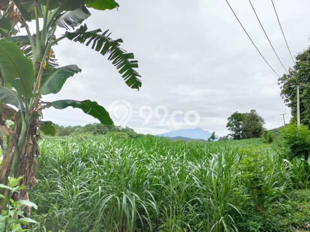 AREA PROSPEKTIF! Tanah Kawasan Rumpin, Luas 13000m2m², Akses Fasilitas Umum AREA PROSPEKTIF! Tanah Kawasan Rumpin, Luas 13000m2m², Akses Fasilitas Umum