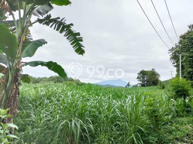 AREA PROSPEKTIF! Tanah Kawasan Rumpin, Luas 13000m2m², Akses Fasilitas Umum AREA PROSPEKTIF! Tanah Kawasan Rumpin, Luas 13000m2m², Akses Fasilitas Umum