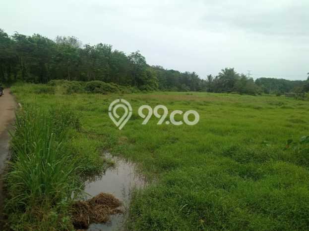 Dijual Tanah Area Strategis di Rumpin, Luas 8500m2m², Cocok untuk Investasi Dijual Tanah Area Strategis di Rumpin, Luas 8500m2m², Cocok untuk Investasi