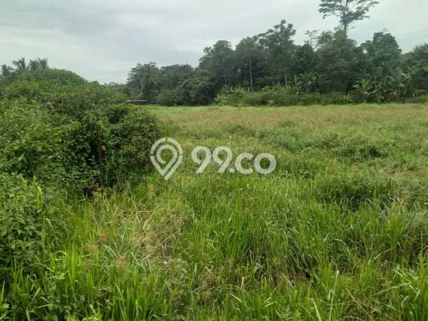 Dijual Tanah Area Strategis di Rumpin, Luas 8500m2m², Cocok untuk Investasi Dijual Tanah Area Strategis di Rumpin, Luas 8500m2m², Cocok untuk Investasi