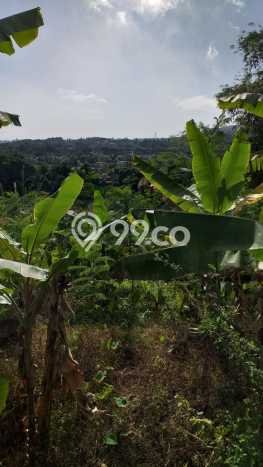 Tanah untuk Dijual di Pamijahan Bogor Luas 1600m2 Tanah untuk Dijual di Pamijahan Bogor Luas 1600m2