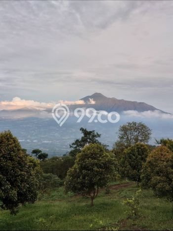 Tanah Dijual Lokasi Cijeruk, Bogor Luas 10000m2 Legalitas Aman Tanah Dijual Lokasi Cijeruk, Bogor Luas 10000m2 Legalitas Aman
