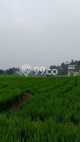 Tanah Strategis Dijual di Cigombong Bogor 3500m2 Tanah Strategis Dijual di Cigombong Bogor 3500m2