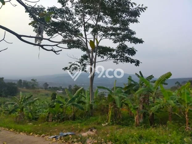 Tanah Siap Bangun Dijual di Bogor Punya Luas 582m2 Tanah Siap Bangun Dijual di Bogor Punya Luas 582m2