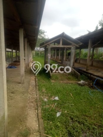 Tanah Komersial Dijual di Kabandungan Sukabumi 100000m2 Tanah Komersial Dijual di Kabandungan Sukabumi 100000m2