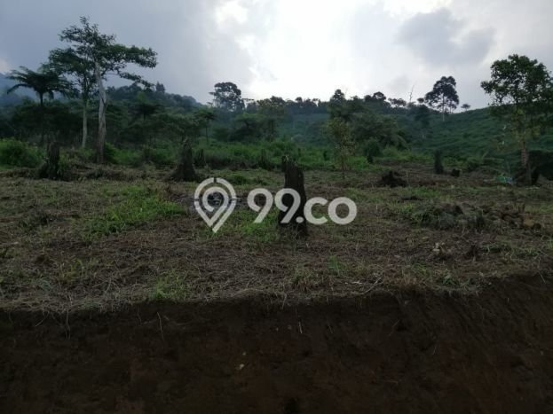 Tanah Strategis Dijual di Cijeruk Bogor 100000m2 Tanah Strategis Dijual di Cijeruk Bogor 100000m2