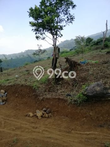 Tanah Strategis Dijual di Cijeruk Bogor 100000m2 Tanah Strategis Dijual di Cijeruk Bogor 100000m2