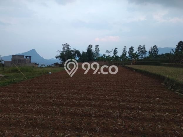 Tanah di Sukamakmur, Bogor Luas 13000m2 Dijual Segera Tanah di Sukamakmur, Bogor Luas 13000m2 Dijual Segera