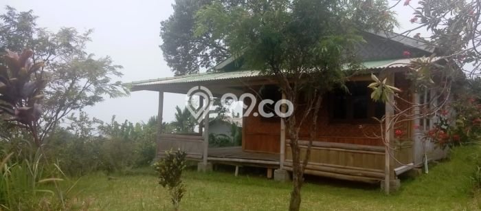 Tanah Dijual Lokasi Cijeruk, Bogor dengan Luas Tanah 3000m2 dan Status - Tanah Dijual Lokasi Cijeruk, Bogor dengan Luas Tanah 3000m2 dan Status -