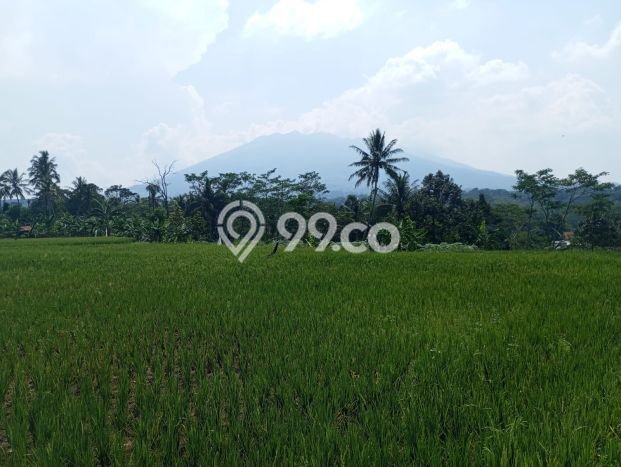 Dijual Tanah Area Prospektif di Cijeruk, Luas 5300m2m², Dekat Cijeruk, Bogor, Bogor Dijual Tanah Area Prospektif di Cijeruk, Luas 5300m2m², Dekat Cijeruk, Bogor, Bogor