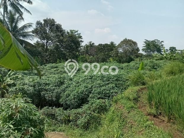Dijual Tanah Area Prospektif di Cijeruk, Luas 5300m2m², Dekat Cijeruk, Bogor, Bogor Dijual Tanah Area Prospektif di Cijeruk, Luas 5300m2m², Dekat Cijeruk, Bogor, Bogor