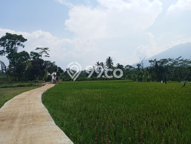 Dijual Tanah Area Prospektif di Cijeruk, Luas 5300m2m², Dekat Cijeruk, Bogor, Bogor Dijual Tanah Area Prospektif di Cijeruk, Luas 5300m2m², Dekat Cijeruk, Bogor, Bogor