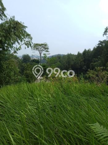 Kavling Tanah di Pamijahan Dijual Luas 7998m2 Legalitas SHM Kavling Tanah di Pamijahan Dijual Luas 7998m2 Legalitas SHM