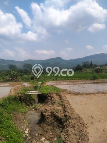 Tanah di Sukamakmur, Bogor Luas 100000m2 Dijual Segera Tanah di Sukamakmur, Bogor Luas 100000m2 Dijual Segera