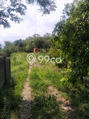 Tanah di Sukamakmur, Bogor Luas 100000m2 Dijual Segera Tanah di Sukamakmur, Bogor Luas 100000m2 Dijual Segera