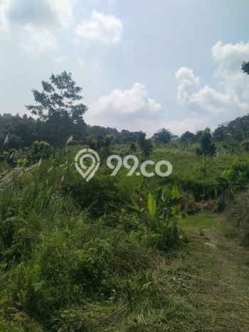 Tanah Kawasan , Luas 32000m2m², Area Potensial, Akses Bogor, Bogor Tanah Kawasan , Luas 32000m2m², Area Potensial, Akses Bogor, Bogor