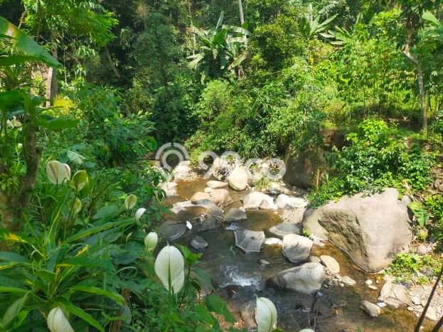 Tanah di Cigombong, Luas 3500m2m², Akses Mudah Tanah di Cigombong, Luas 3500m2m², Akses Mudah