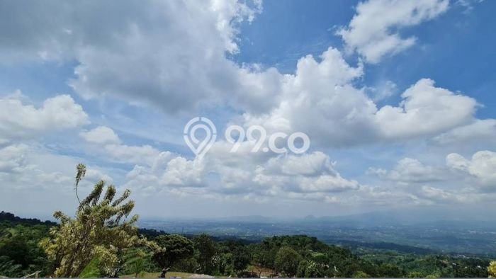 Tanah Dijual Lokasi Cijeruk Bogor - Tanah Dijual Lokasi Cijeruk Bogor -