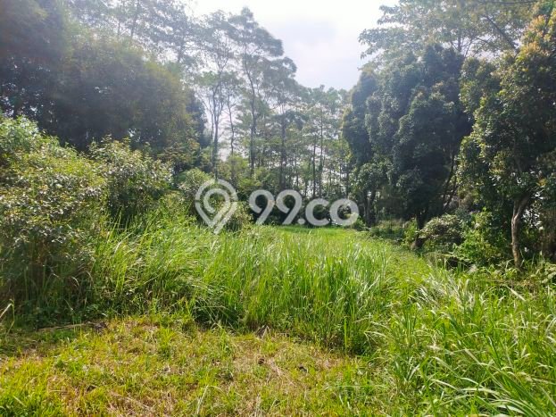 Jarang Ada! Tanah di Cijeruk Punya Luas 4172m2 SHM Jarang Ada! Tanah di Cijeruk Punya Luas 4172m2 SHM