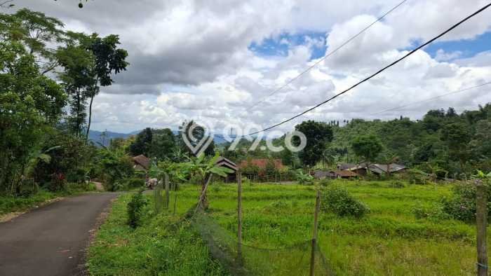 Tanah untuk Dijual di Pamijahan Bogor Luas 6000m2 Tanah untuk Dijual di Pamijahan Bogor Luas 6000m2