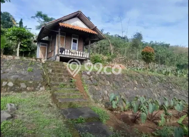 Tanah Strategis Dijual di Cijeruk Bogor 1800m2 Tanah Strategis Dijual di Cijeruk Bogor 1800m2