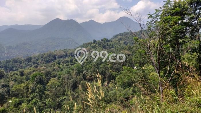 Tanah Kosong Dijual di Bogor dengan Area 90000m2 Tanah Kosong Dijual di Bogor dengan Area 90000m2
