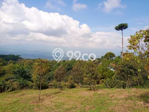 Tanah Dijual Lokasi Cijeruk Bogor - Tanah Dijual Lokasi Cijeruk Bogor -