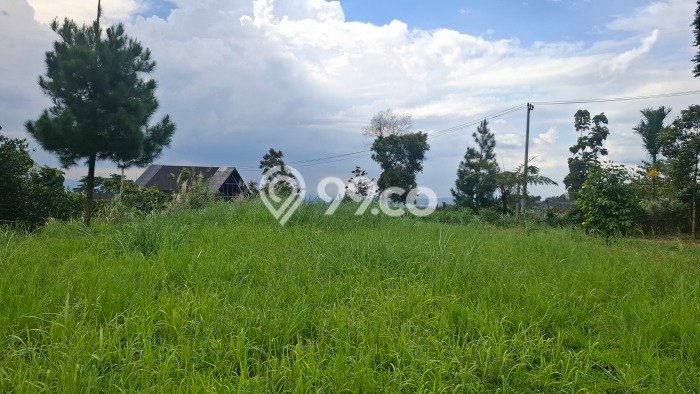 Jarang Ada! Tanah di Caringin Punya Luas 22000m2 SHM Jarang Ada! Tanah di Caringin Punya Luas 22000m2 SHM