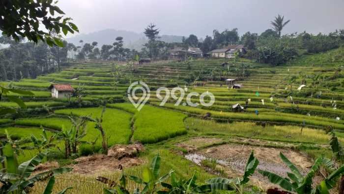 Dijual Tanah Area Prospektif di Pamijahan, Luas 2500m2m², Akses Pamijahan, Bogor, Bogor Dijual Tanah Area Prospektif di Pamijahan, Luas 2500m2m², Akses Pamijahan, Bogor, Bogor