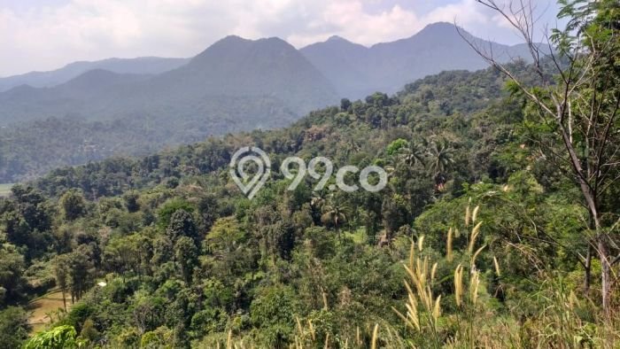 Tanah Kosong Dijual di Bogor dengan Area 90000m2 Tanah Kosong Dijual di Bogor dengan Area 90000m2