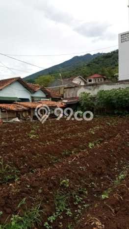 Tanah untuk Dijual di Cijeruk Bogor Luas 1000m2 Tanah untuk Dijual di Cijeruk Bogor Luas 1000m2