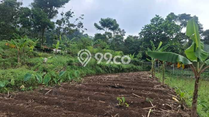 Lahan Dijual Lokasi Cigombong, Bogor dengan Luas Tanah 1000m2 dan Status SHM Lahan Dijual Lokasi Cigombong, Bogor dengan Luas Tanah 1000m2 dan Status SHM