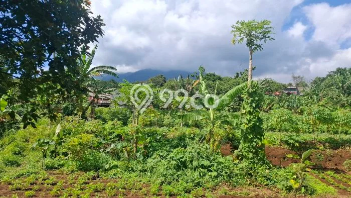 Lahan Strategis di Cijeruk Dijual dengan Luas 10200m2 Lahan Strategis di Cijeruk Dijual dengan Luas 10200m2