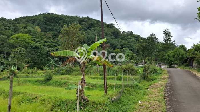 Tanah untuk Dijual di Pamijahan Bogor Luas 6000m2 Tanah untuk Dijual di Pamijahan Bogor Luas 6000m2