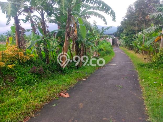 Kavling Tanah Dijual di Caringin, Bogor, Luas 1300m2 Area Strategis Kavling Tanah Dijual di Caringin, Bogor, Luas 1300m2 Area Strategis