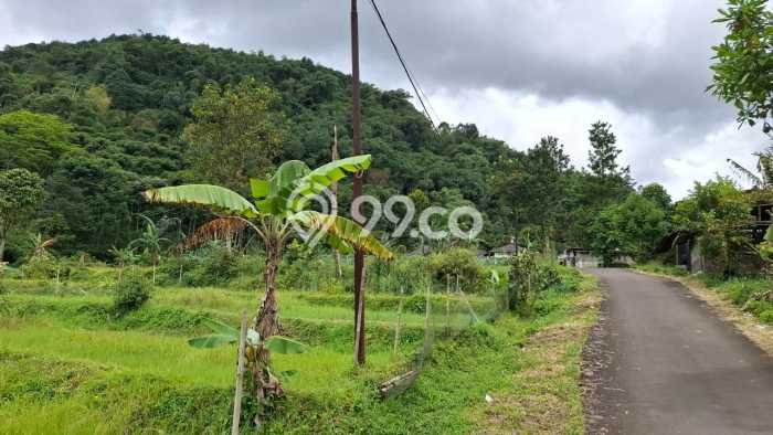 Tanah untuk Dijual di Pamijahan Bogor Luas 6000m2 Tanah untuk Dijual di Pamijahan Bogor Luas 6000m2