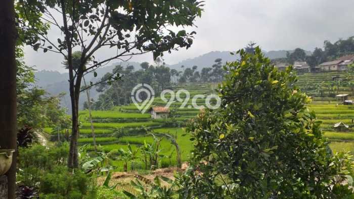 Dijual Tanah Area Prospektif di Pamijahan, Luas 2500m2m², Akses Pamijahan, Bogor, Bogor Dijual Tanah Area Prospektif di Pamijahan, Luas 2500m2m², Akses Pamijahan, Bogor, Bogor