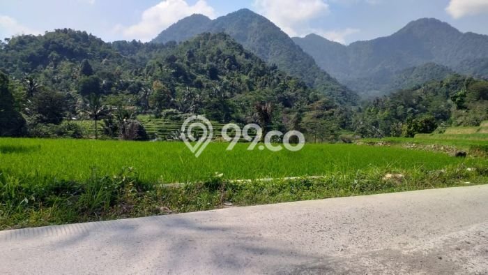 Lahan Investasi Lokasi Pamijahan Bogor SHM Lahan Investasi Lokasi Pamijahan Bogor SHM