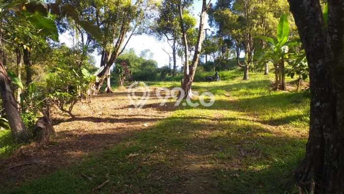 Lahan Investasi Lokasi Pamijahan Bogor - Lahan Investasi Lokasi Pamijahan Bogor -