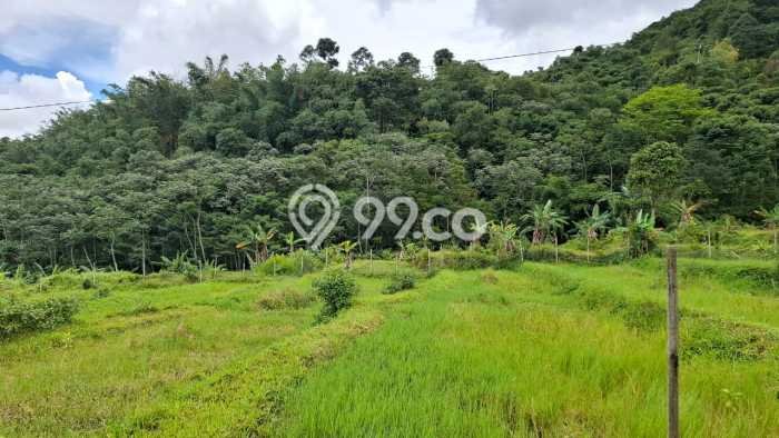 Tanah untuk Dijual di Pamijahan Bogor Luas 6000m2 Tanah untuk Dijual di Pamijahan Bogor Luas 6000m2