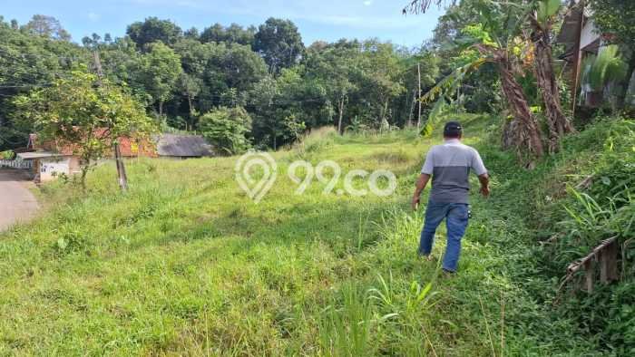 Lahan Kosong Dijual di Citeureup, Bogor, Luas 2604m2 Area Strategis Lahan Kosong Dijual di Citeureup, Bogor, Luas 2604m2 Area Strategis