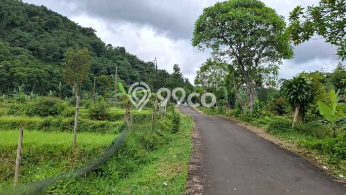 Tanah untuk Dijual di Pamijahan Bogor Luas 6000m2 Tanah untuk Dijual di Pamijahan Bogor Luas 6000m2