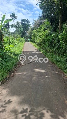 Tanah Kosong Dijual di Bogor dengan Area 6032m2 Tanah Kosong Dijual di Bogor dengan Area 6032m2