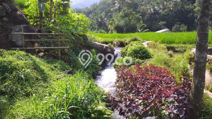 Dijual Tanah di Pamijahan Bogor Luas 1500m2 - Dijual Tanah di Pamijahan Bogor Luas 1500m2 -
