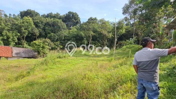 Lahan Kosong Dijual di Citeureup, Bogor, Luas 2604m2 Area Strategis Lahan Kosong Dijual di Citeureup, Bogor, Luas 2604m2 Area Strategis