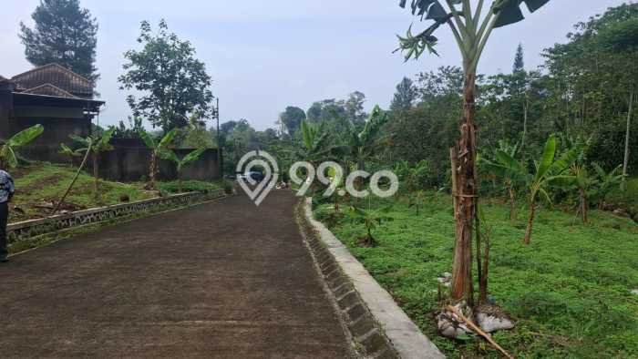 Lahan Dijual Lokasi Cigombong, Bogor dengan Luas Tanah 1000m2 dan Status SHM Lahan Dijual Lokasi Cigombong, Bogor dengan Luas Tanah 1000m2 dan Status SHM