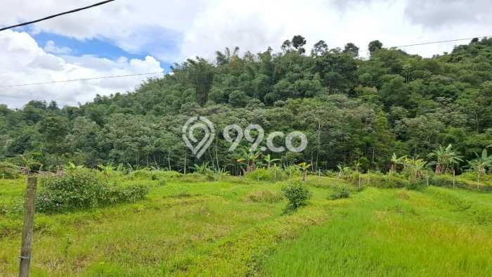 Tanah untuk Dijual di Pamijahan Bogor Luas 6000m2 Tanah untuk Dijual di Pamijahan Bogor Luas 6000m2
